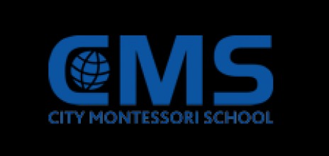 CITY MONTESSORI SCHOOL